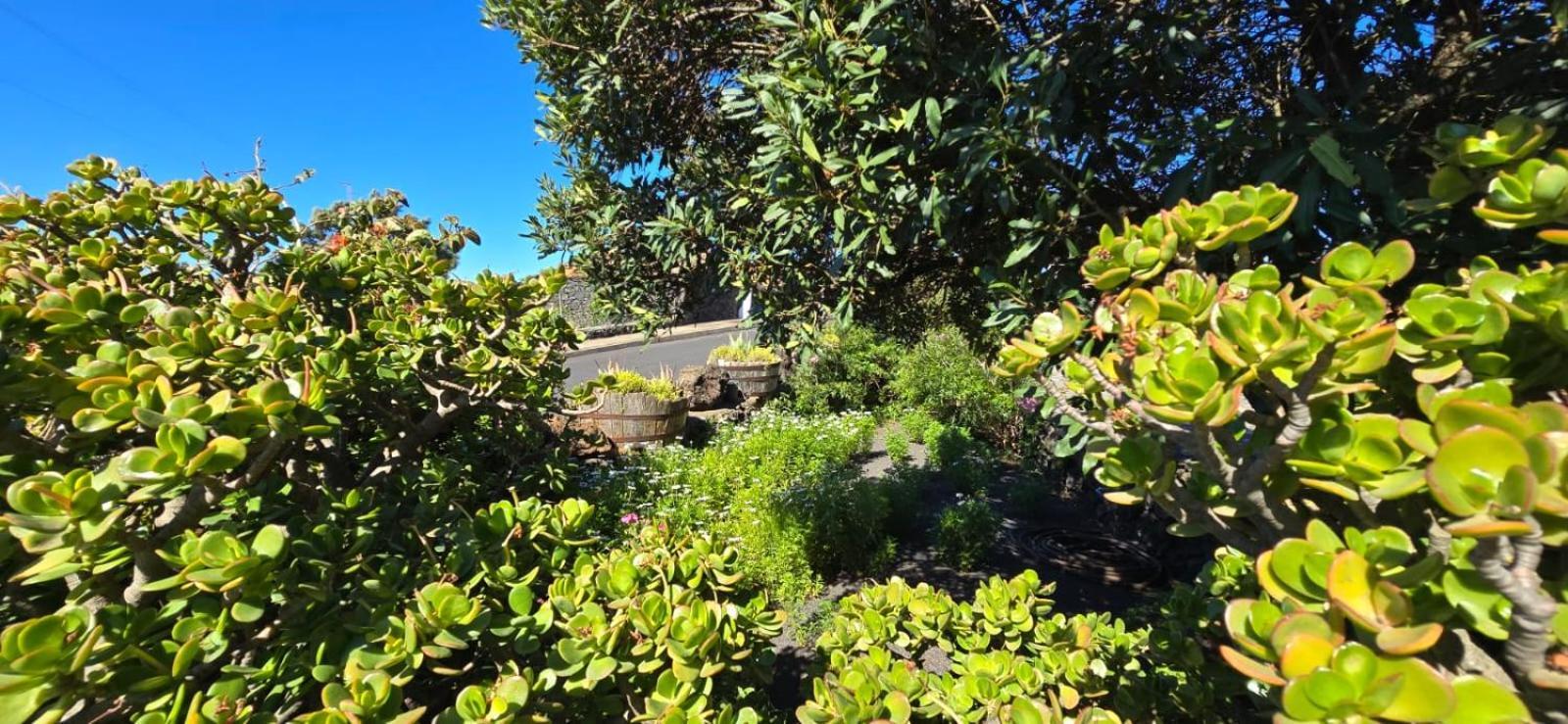 Vivienda Vacacional El Lagar, Bodega A Fuencaliente de la Palma Exteriér fotografie