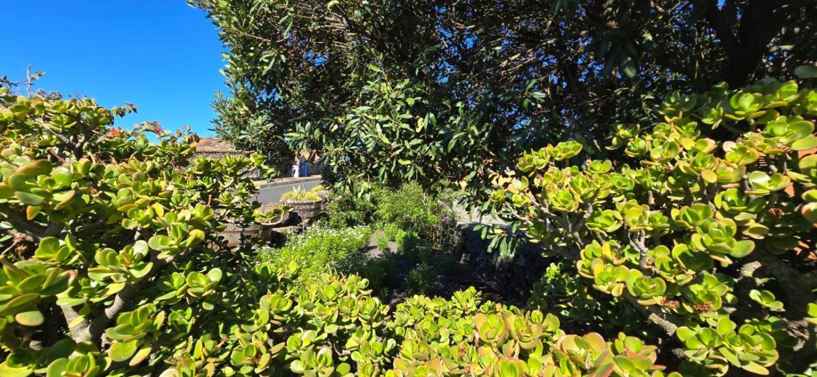 Vivienda Vacacional El Lagar, Bodega A Fuencaliente de la Palma Exteriér fotografie